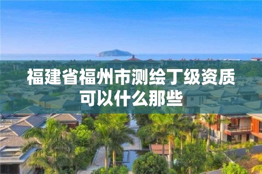 福建省福州市測繪丁級資質可以什么那些