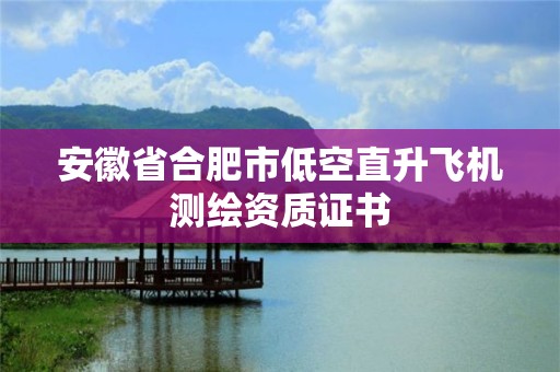 安徽省合肥市低空直升飛機測繪資質證書