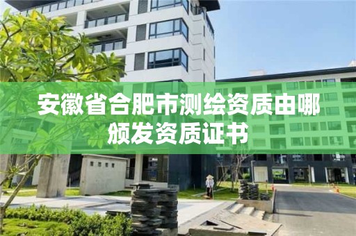 安徽省合肥市測繪資質由哪頒發資質證書