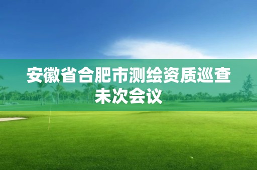 安徽省合肥市測繪資質巡查未次會議