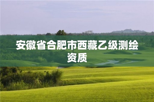 安徽省合肥市西藏乙級(jí)測繪資質(zhì)