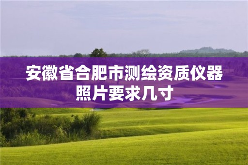 安徽省合肥市測繪資質儀器照片要求幾寸