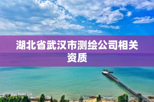 湖北省武漢市測繪公司相關資質