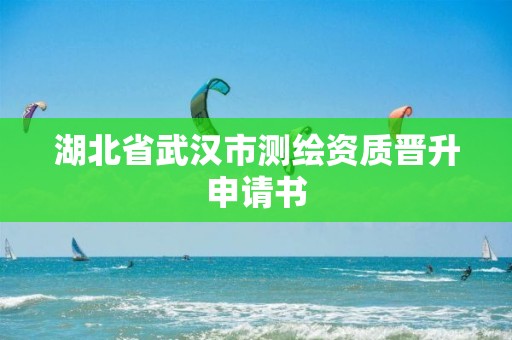 湖北省武漢市測繪資質晉升申請書