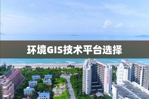 環境GIS技術平臺選擇