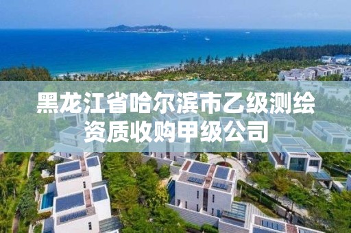 黑龍江省哈爾濱市乙級測繪資質收購甲級公司