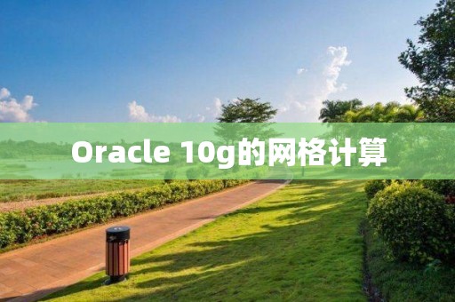 Oracle 10g的網格計算