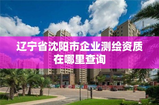 遼寧省沈陽市企業測繪資質在哪里查詢