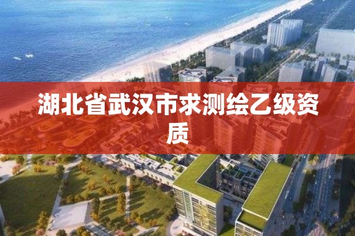 湖北省武漢市求測繪乙級資質