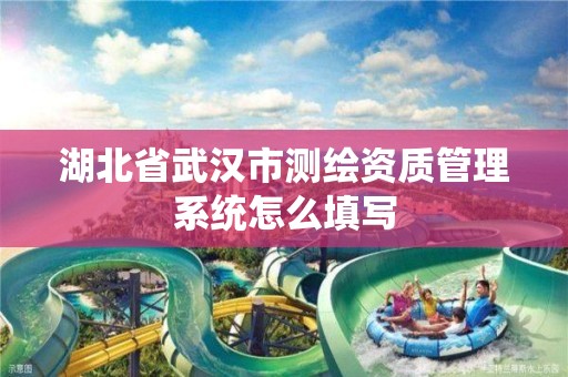 湖北省武漢市測繪資質管理系統怎么填寫