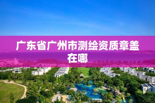 廣東省廣州市測繪資質章蓋在哪