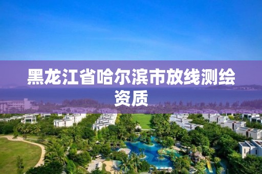 黑龍江省哈爾濱市放線測(cè)繪資質(zhì)