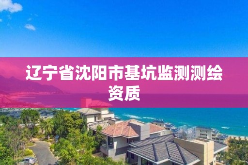 遼寧省沈陽市基坑監(jiān)測測繪資質(zhì)