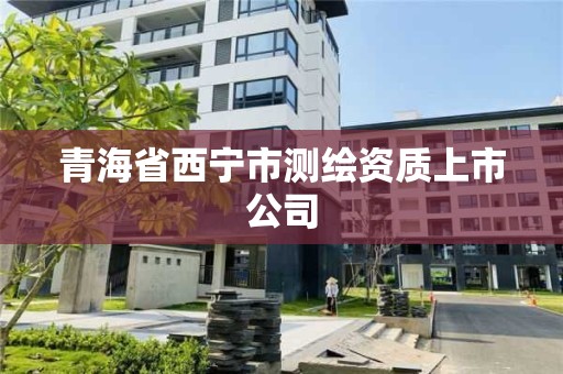 青海省西寧市測繪資質上市公司