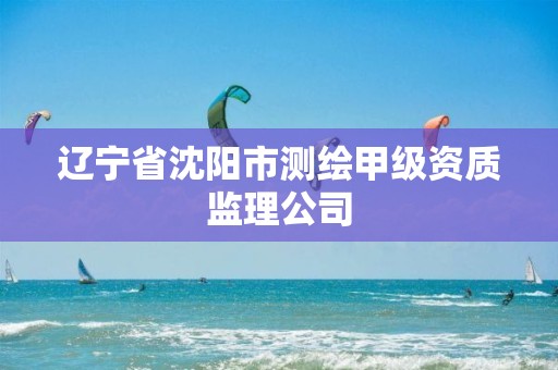 遼寧省沈陽市測繪甲級資質監理公司