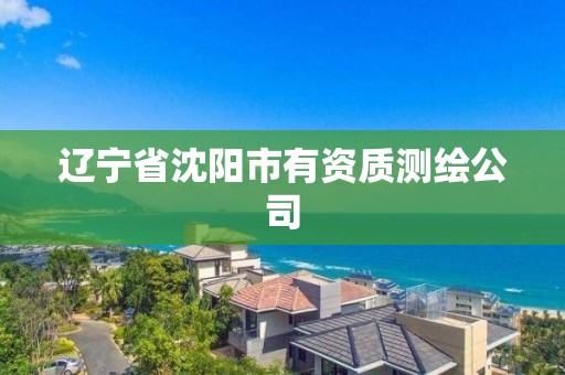 遼寧省沈陽市有資質(zhì)測繪公司