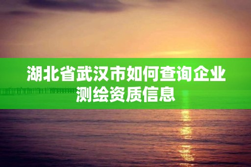 湖北省武漢市如何查詢企業(yè)測繪資質(zhì)信息