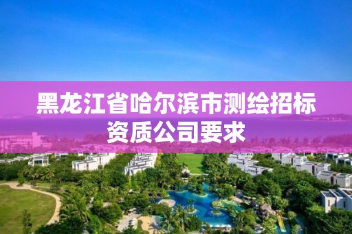 黑龍江省哈爾濱市測繪招標(biāo)資質(zhì)公司要求