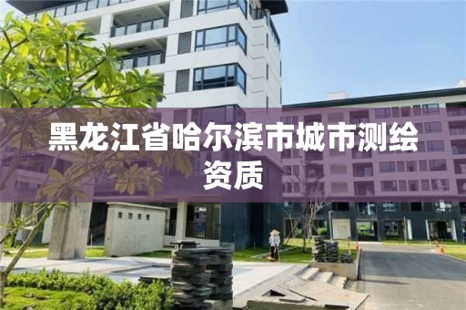 黑龍江省哈爾濱市城市測繪資質