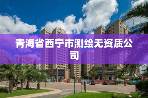 青海省西寧市測繪無資質(zhì)公司