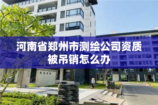 河南省鄭州市測繪公司資質被吊銷怎么辦