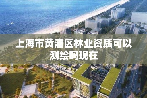 上海市黃浦區林業資質可以測繪嗎現在