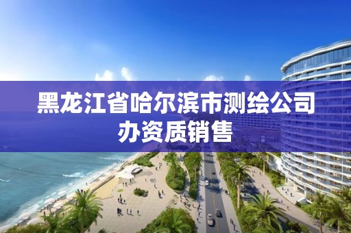 黑龍江省哈爾濱市測繪公司辦資質銷售