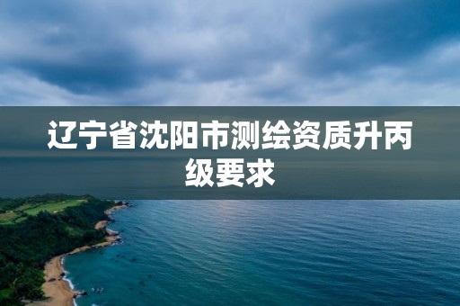 遼寧省沈陽市測繪資質升丙級要求