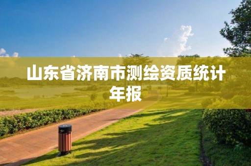 山東省濟(jì)南市測繪資質(zhì)統(tǒng)計(jì)年報