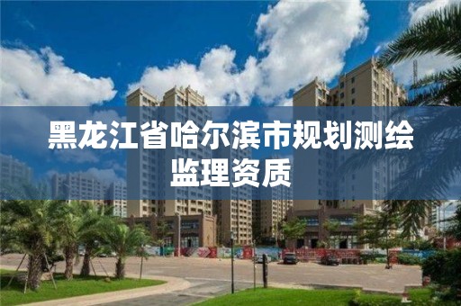 黑龍江省哈爾濱市規劃測繪監理資質