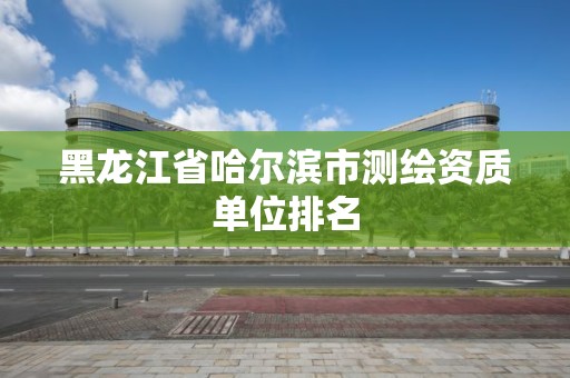 黑龍江省哈爾濱市測繪資質單位排名