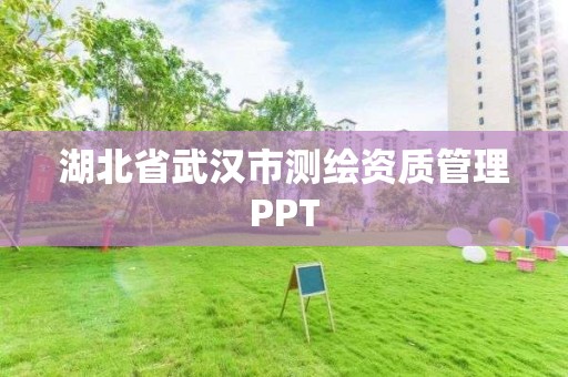 湖北省武漢市測繪資質管理PPT