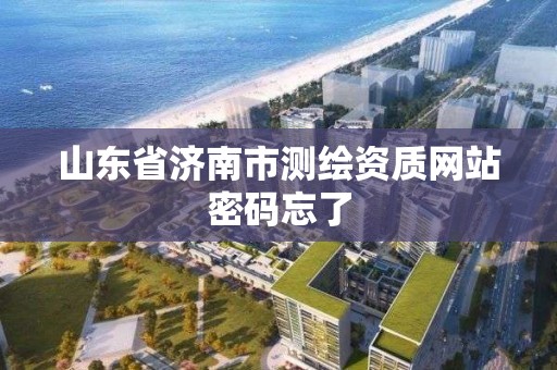 山東省濟南市測繪資質網站密碼忘了