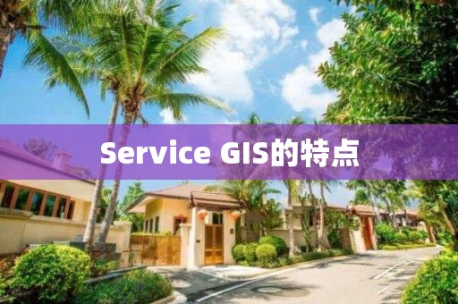 Service GIS的特點