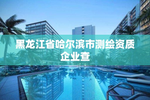 黑龍江省哈爾濱市測繪資質(zhì)企業(yè)查