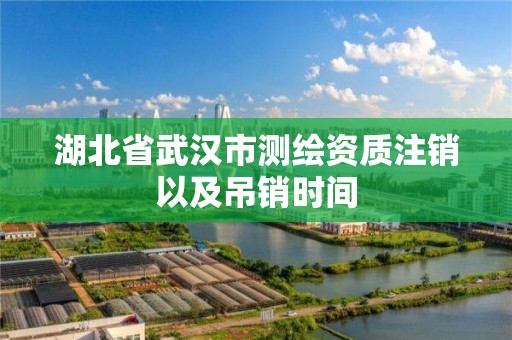 湖北省武漢市測繪資質注銷以及吊銷時間