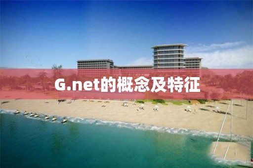 G.net的概念及特征