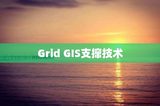 Grid GIS支攛技術