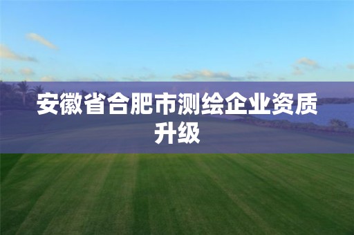 安徽省合肥市測(cè)繪企業(yè)資質(zhì)升級(jí)