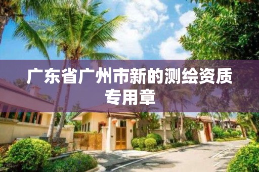 廣東省廣州市新的測繪資質專用章