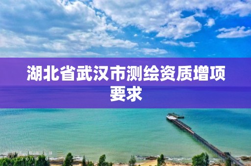 湖北省武漢市測繪資質增項要求