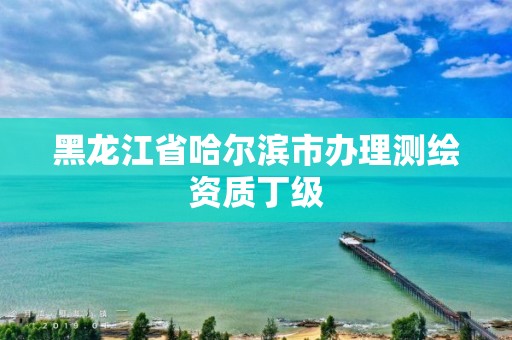 黑龍江省哈爾濱市辦理測(cè)繪資質(zhì)丁級(jí)