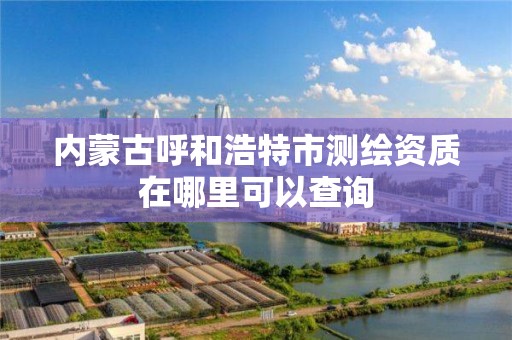 內蒙古呼和浩特市測繪資質在哪里可以查詢