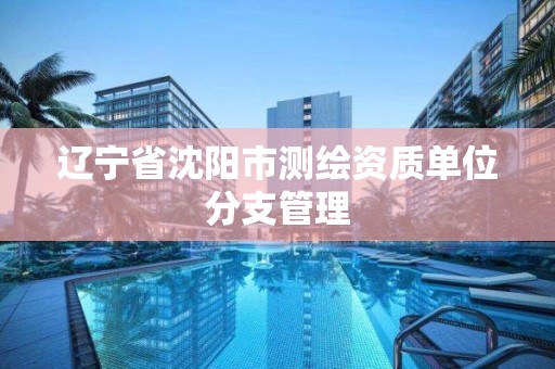 遼寧省沈陽市測繪資質單位分支管理