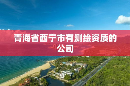 青海省西寧市有測繪資質(zhì)的公司