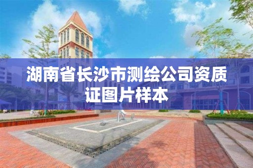 湖南省長沙市測繪公司資質證圖片樣本