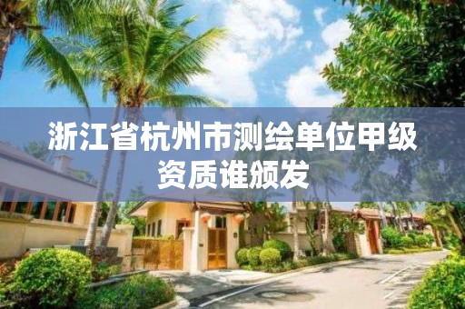 浙江省杭州市測繪單位甲級資質誰頒發