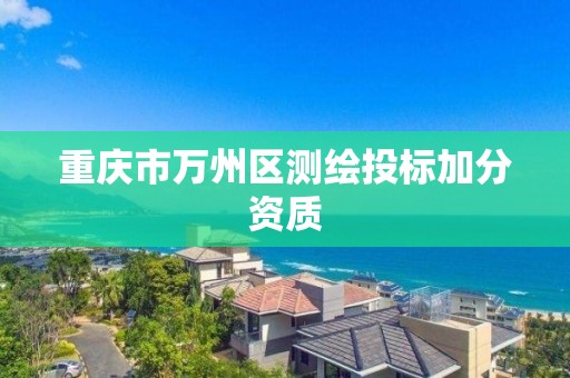 重慶市萬州區(qū)測繪投標加分資質