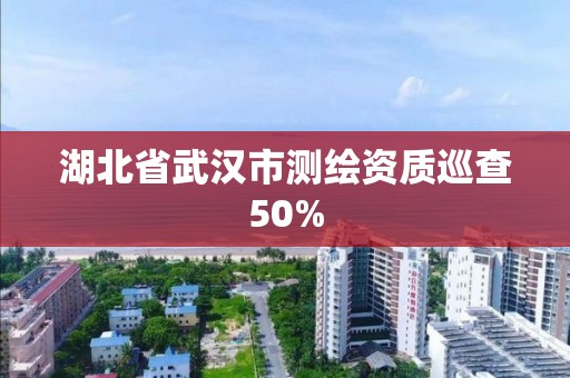 湖北省武漢市測繪資質巡查50%