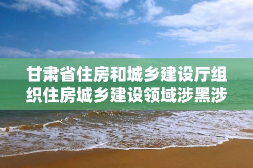 甘肅省住房和城鄉建設廳組織住房城鄉建設領域涉黑涉惡線索摸排業務指導培訓